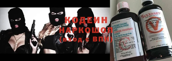 прущие грибы Красноперекопск