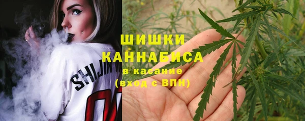 прущие грибы Красноперекопск