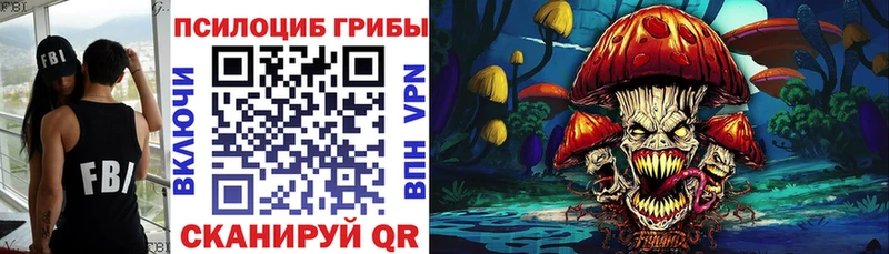 Псилоцибиновые грибы Psilocybe  купить наркоту  Называевск 
