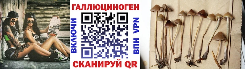Псилоцибиновые грибы Psilocybe Называевск